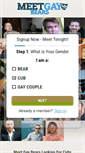 Mobile Screenshot of meetgaybears.com