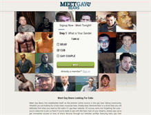 Tablet Screenshot of meetgaybears.com